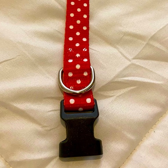 Small Dog Collar - Polka Dots - Picture 3 of 6